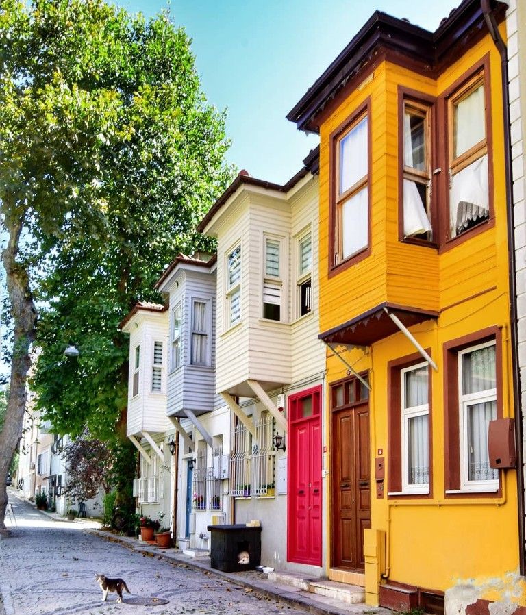 İSTANBUL’UN İKİ YÜZÜ: ŞİLE & AĞVA DOĞASI, BOĞAZ VE BALAT KÜLTÜRÜ