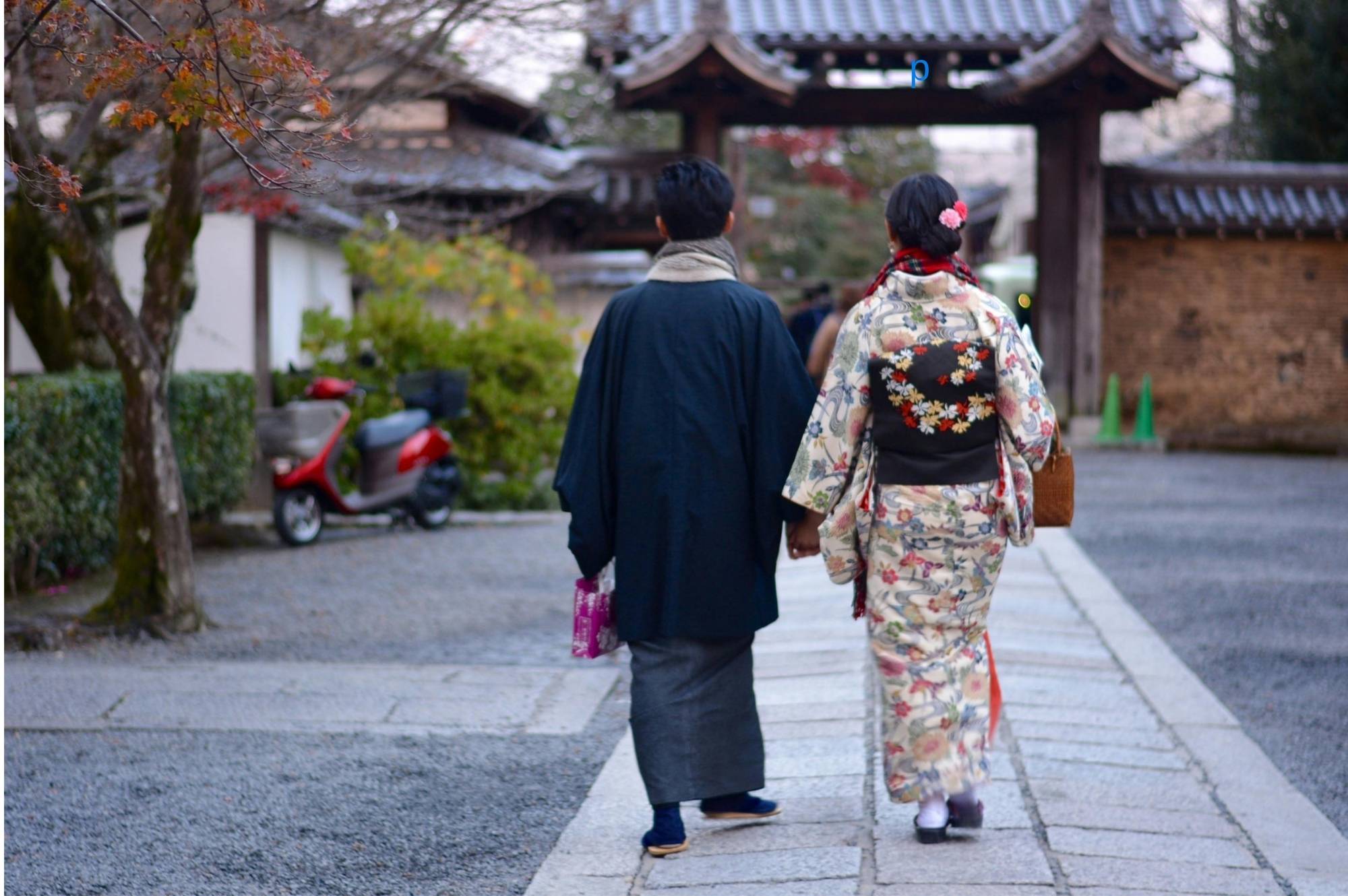 JAPONYA MASALI -  Aktarmasız Drekt Uçuş - Vizesiz